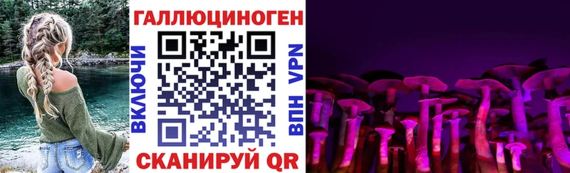 где купить наркоту  блэк спрут как войти  Псилоцибиновые грибы мухоморы  Нижняя Салда 